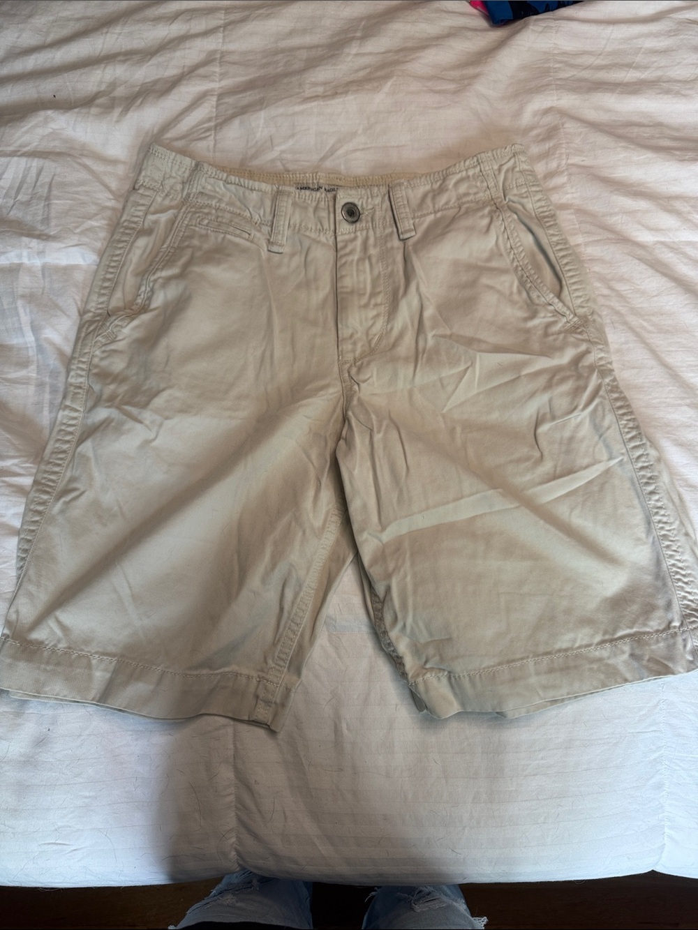 American Eagle Outfitters Khaki Flat Front Men's Shorts